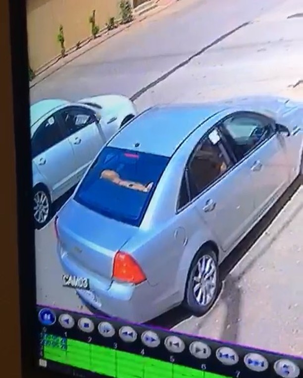 باق,السيارة,سرقة